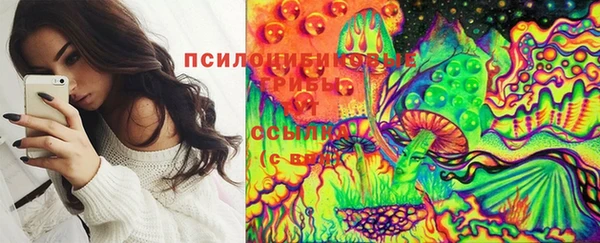 ECSTASY Белоозёрский