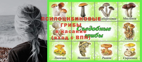 альфа пвп Беломорск